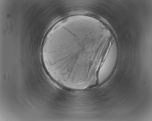 X0000079580802200612301405