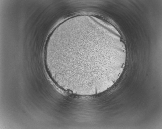 X0000079580803200612301405