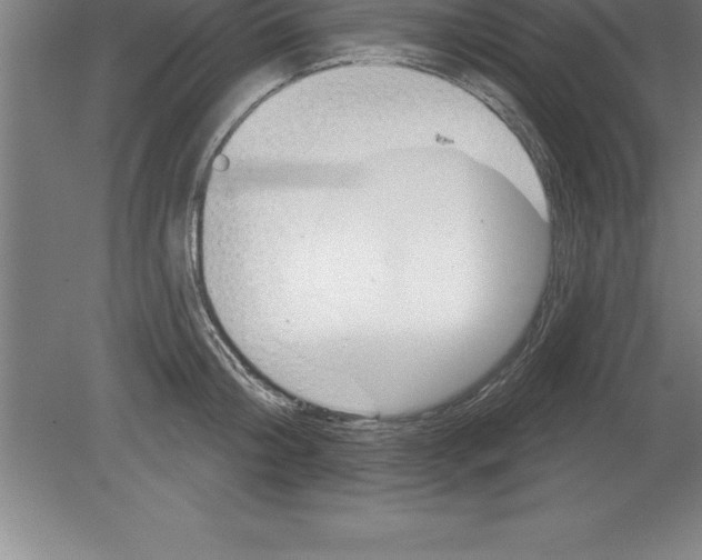 X0000079580804200612301405