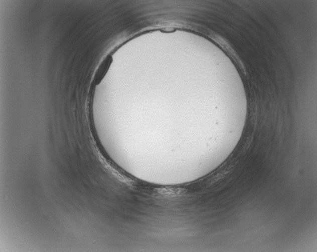 X0000079580805200612301405