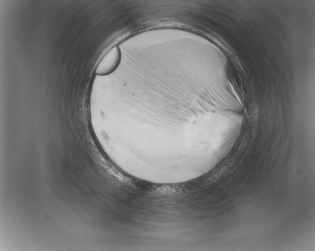 X0000079580806200612301405