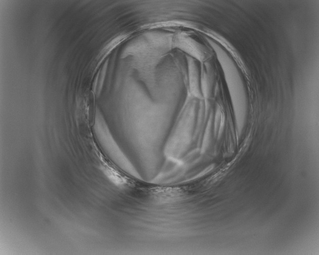 X0000079580809200612301405