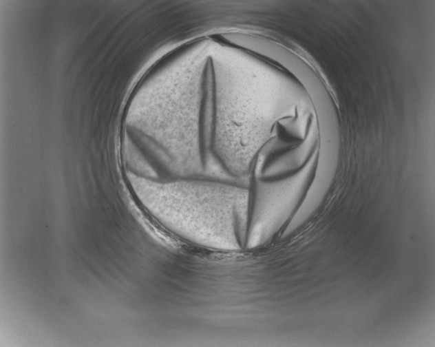 X0000079580811200612301405