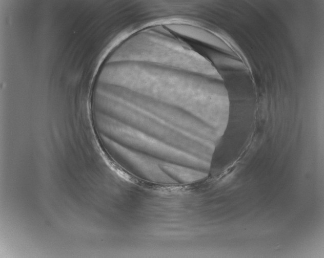 X0000079580813200612301405