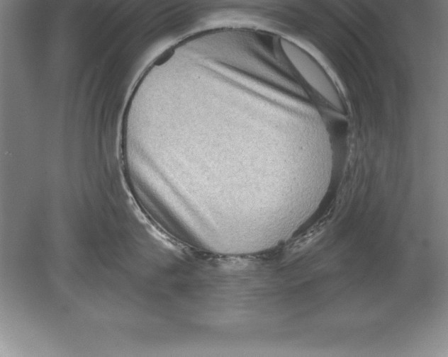 X0000079580815200612301405