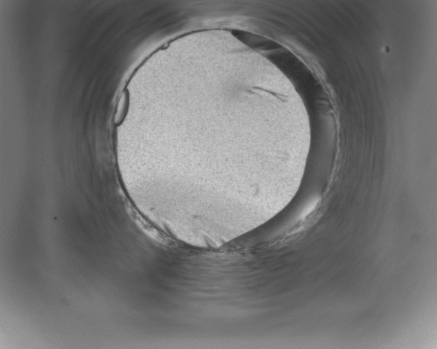 X0000079580816200612301405