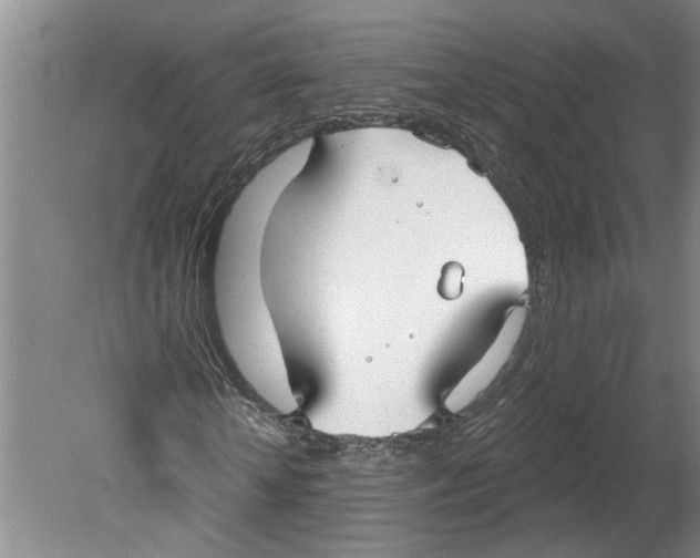 X0000079580818200612301404