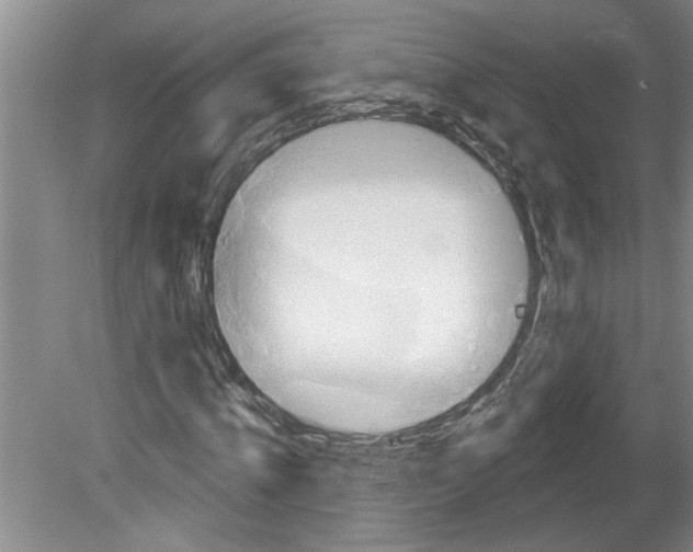 X0000079580820200612301404