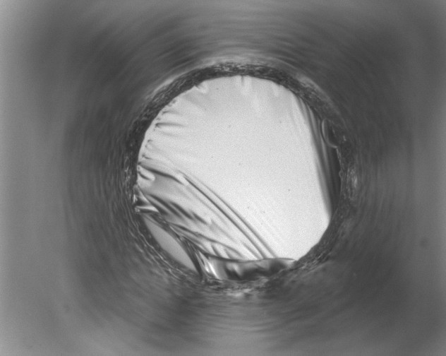 X0000079580822200612301404