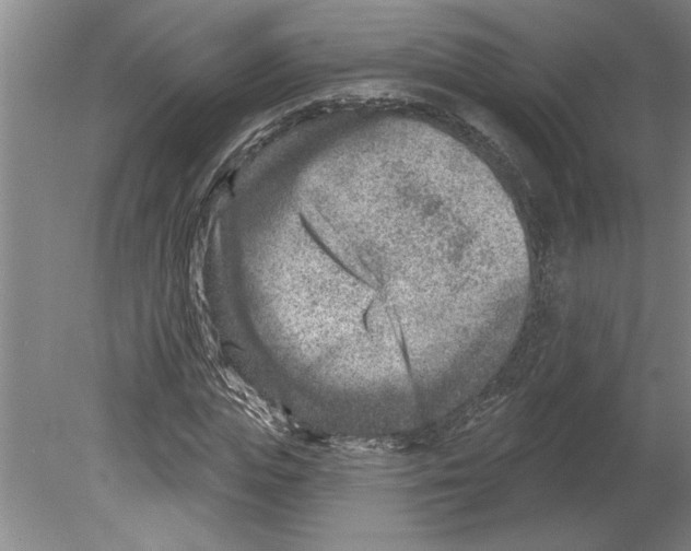 X0000079580823200612301404