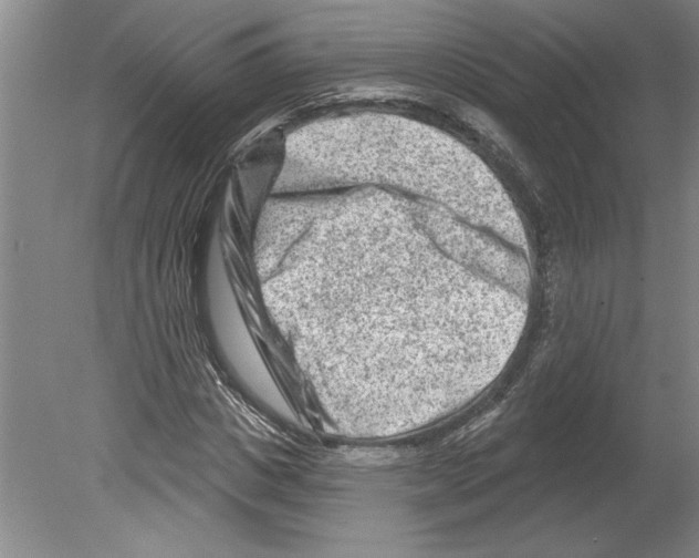 X0000079580825200612301404