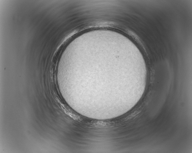 X0000079580827200612301404