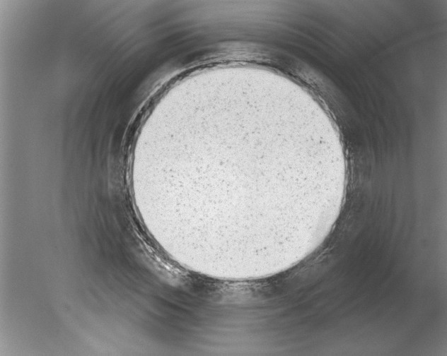 X0000079580828200612301404