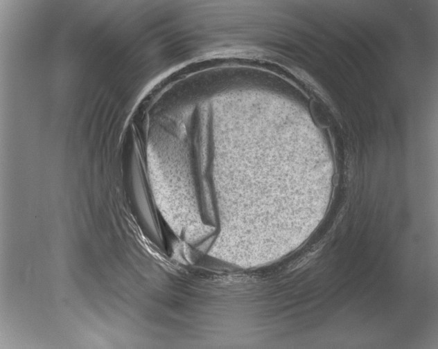 X0000079580830200612301404