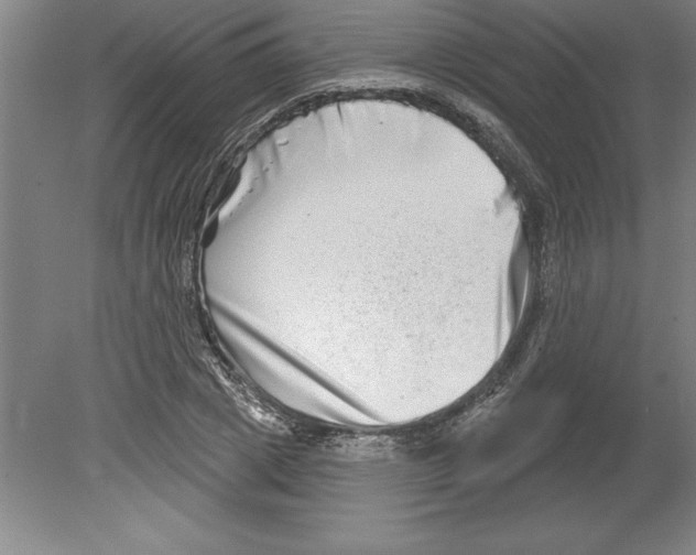 X0000079580833200612301404