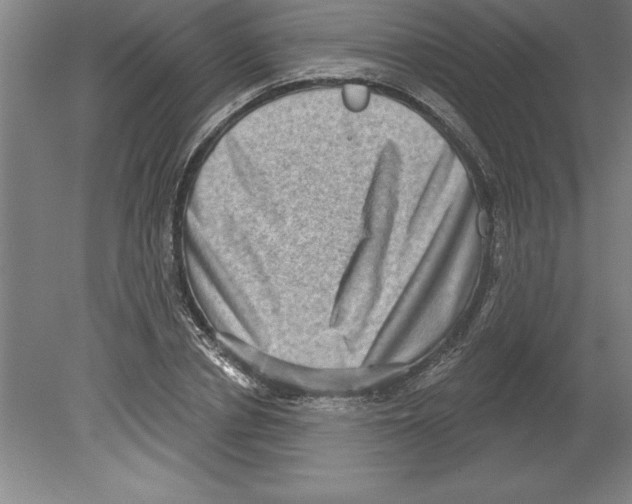 X0000079580834200612301404