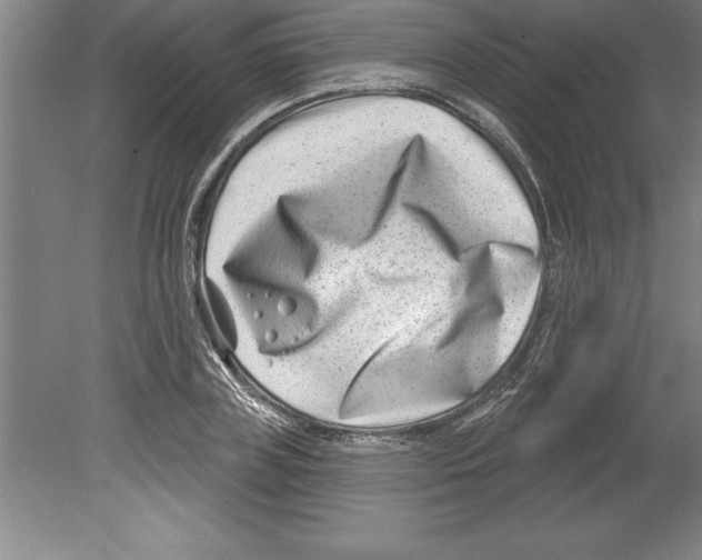 X0000079580835200612301404