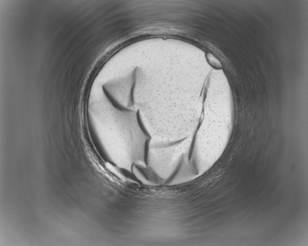 X0000079580840200612301404