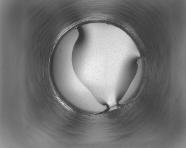 X0000079580842200612301404