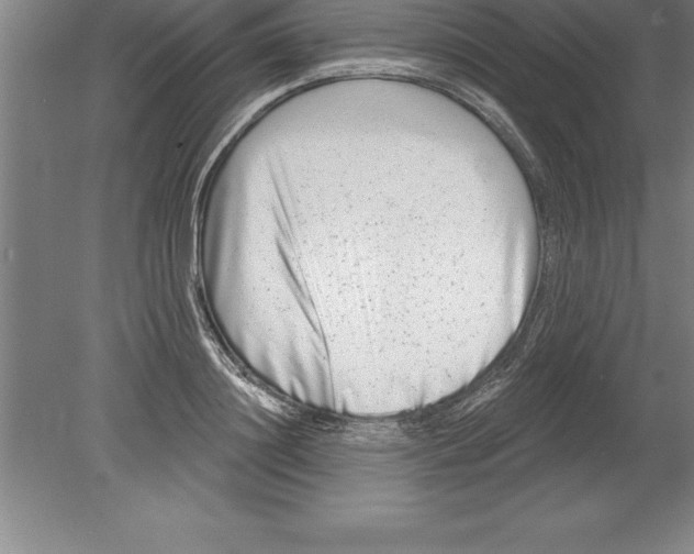 X0000079580844200612301405