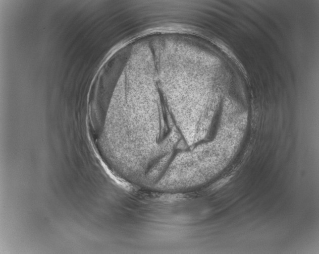 X0000079580845200612301405