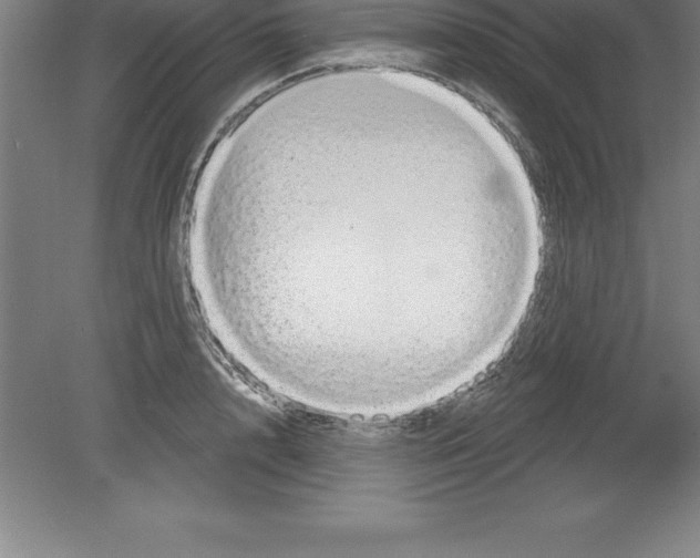 X0000079580848200612301405