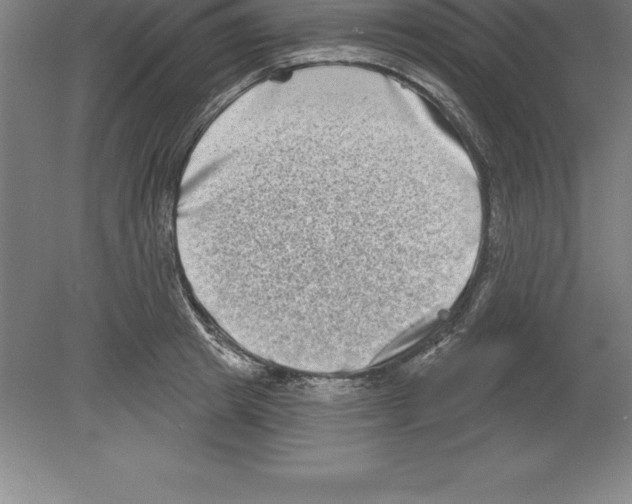 X0000079580849200612301405