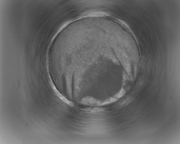 X0000079580851200612301405