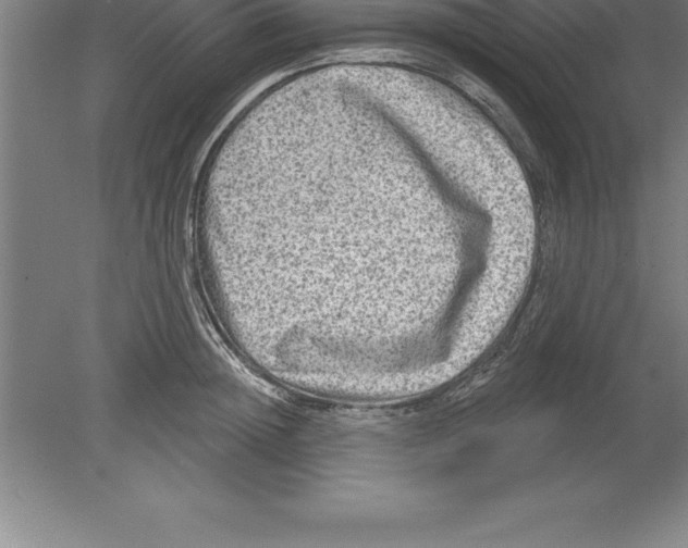 X0000079580852200612301405