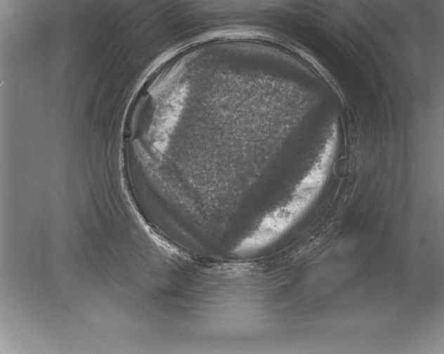 X0000079580853200612301405