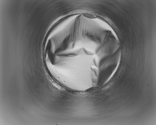 X0000079580854200612301405