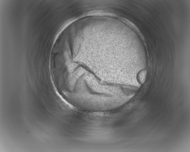 X0000079580855200612301405