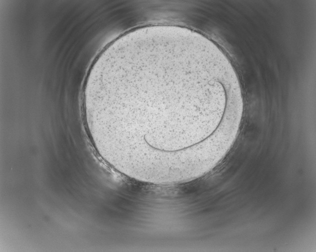 X0000079580856200612301405