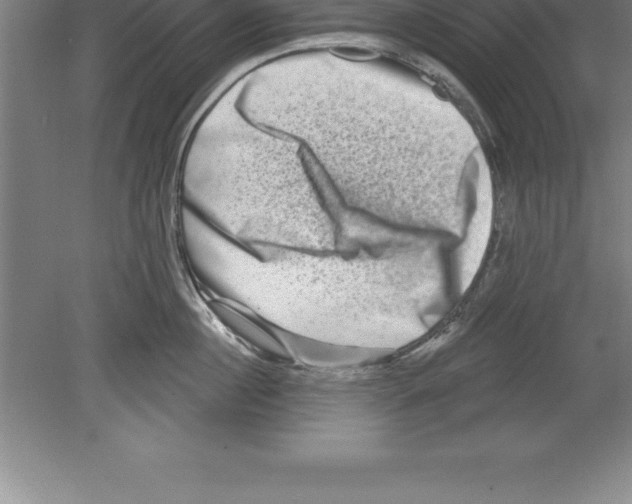 X0000079580860200612301405