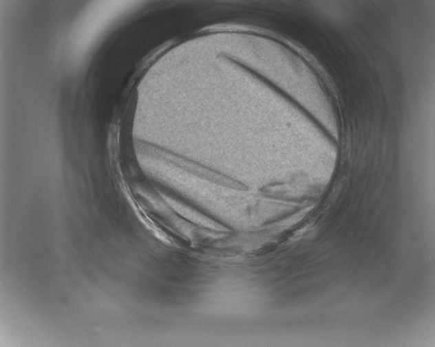 X0000079580862200612301405