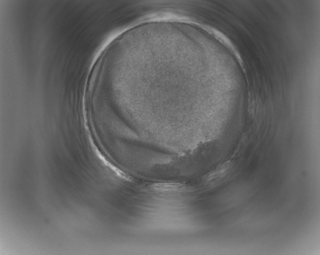 X0000079580863200612301405