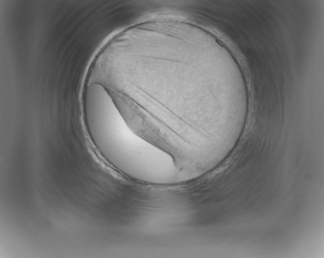 X0000079580864200612301405