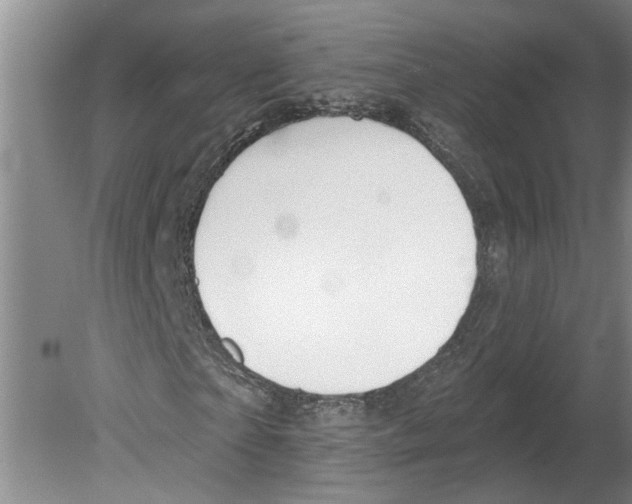 X0000079580865200612301404