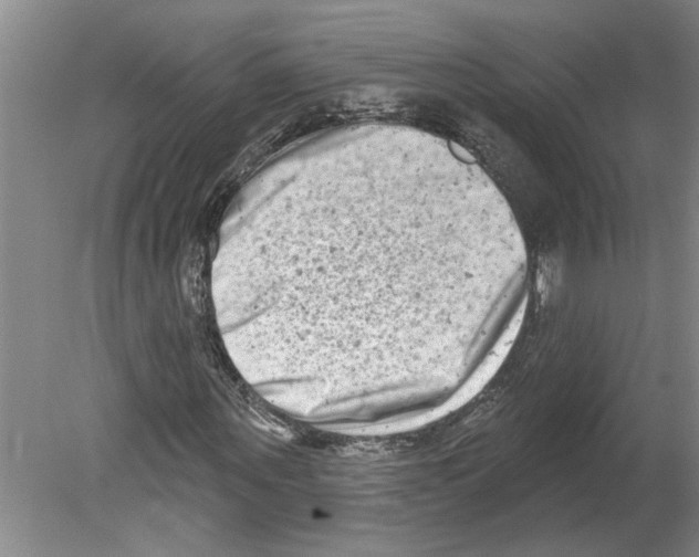 X0000079580867200612301404