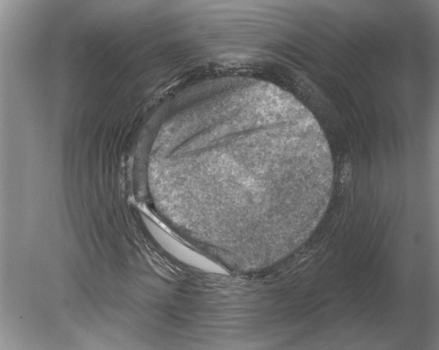 X0000079580868200612301404