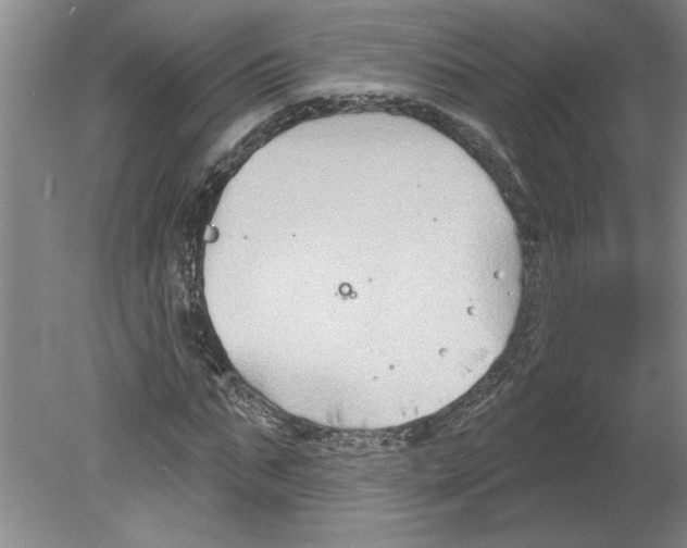 X0000079580871200612301404