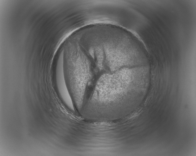 X0000079580879200612301404