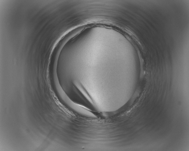 X0000079580880200612301404