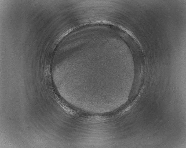 X0000079580881200612301404