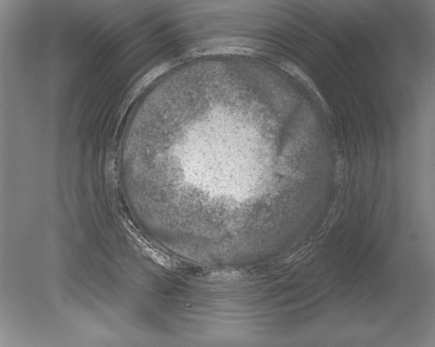 X0000079580882200612301404