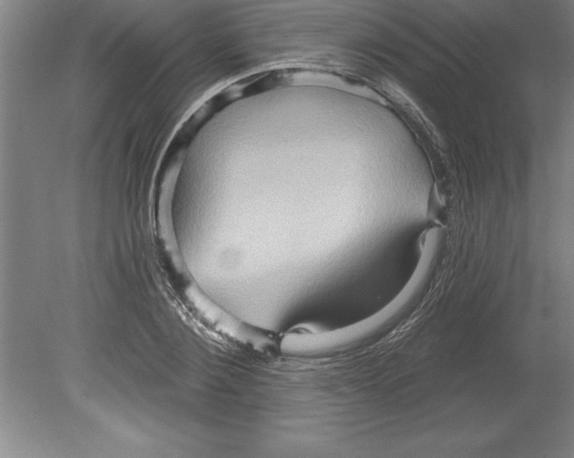 X0000079580884200612301404