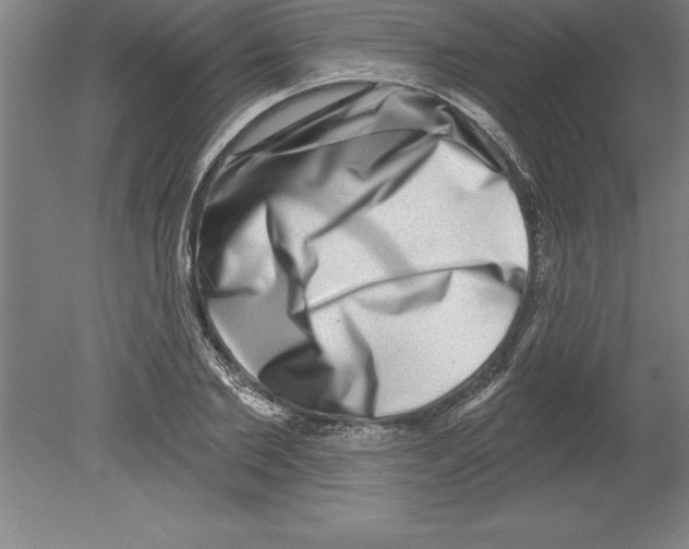 X0000079580885200612301404