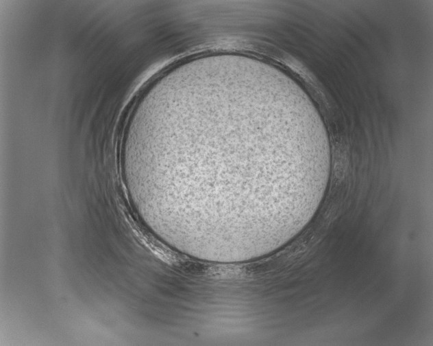 X0000079580886200612301404