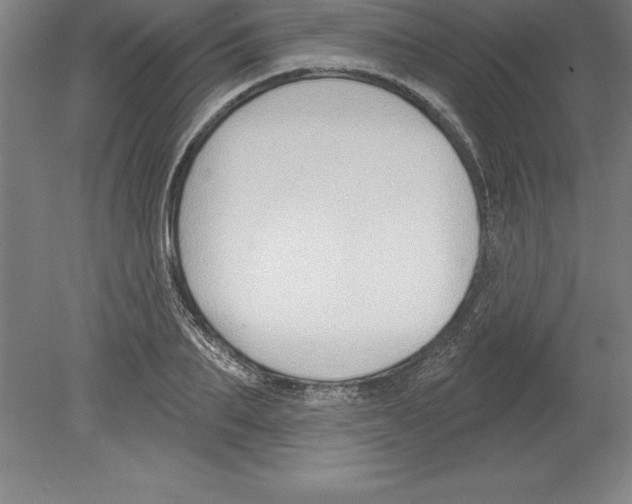 X0000079580887200612301404