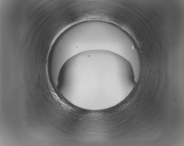 X0000079580888200612301404